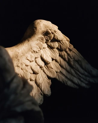 Marble wings of Saint Michael in light