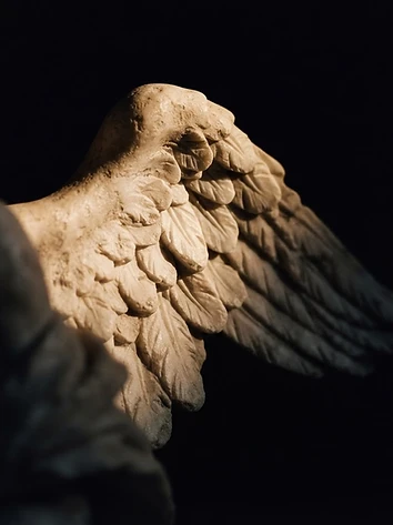 Wings of Stone
