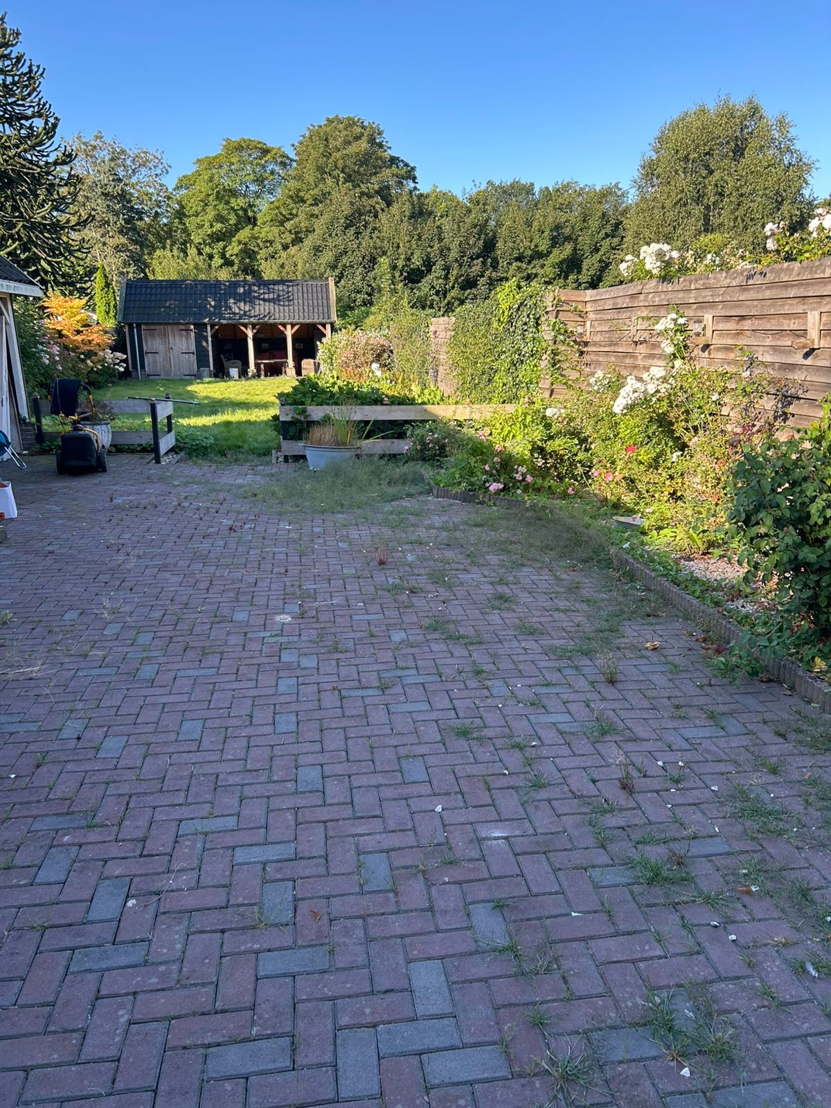 Tuin voor het onderhoud