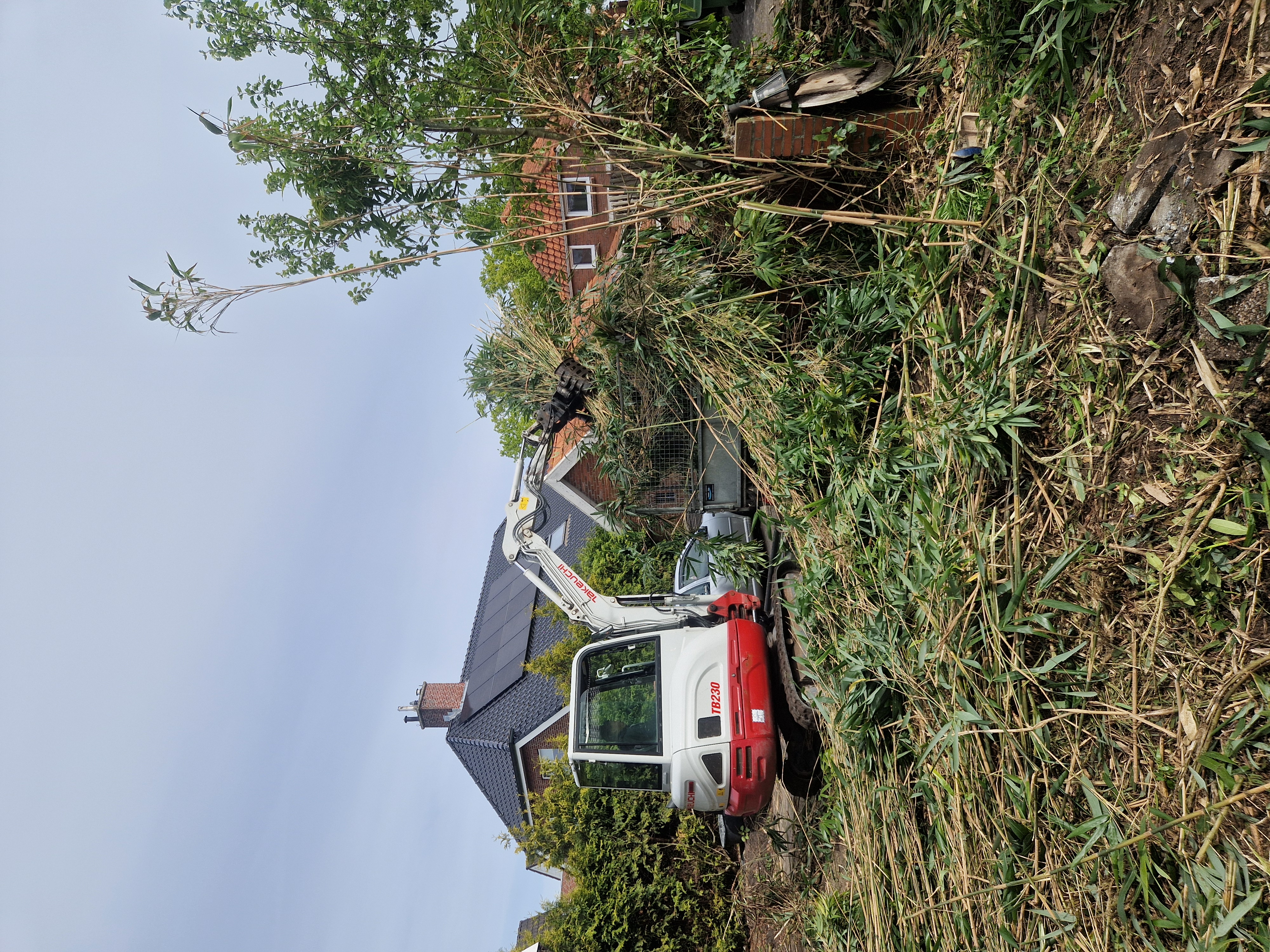 Minigraver ruimt bamboetuin