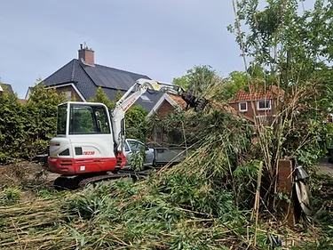 Boomverzorging door Bronneger Exclusive in Drenthe — foto 2