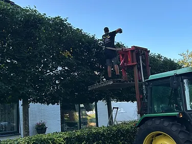 Tuinonderhoud door Bronneger Exclusive in Drenthe — foto 1