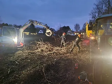 Boomverzorging door Bronneger Exclusive in Drenthe — foto 1