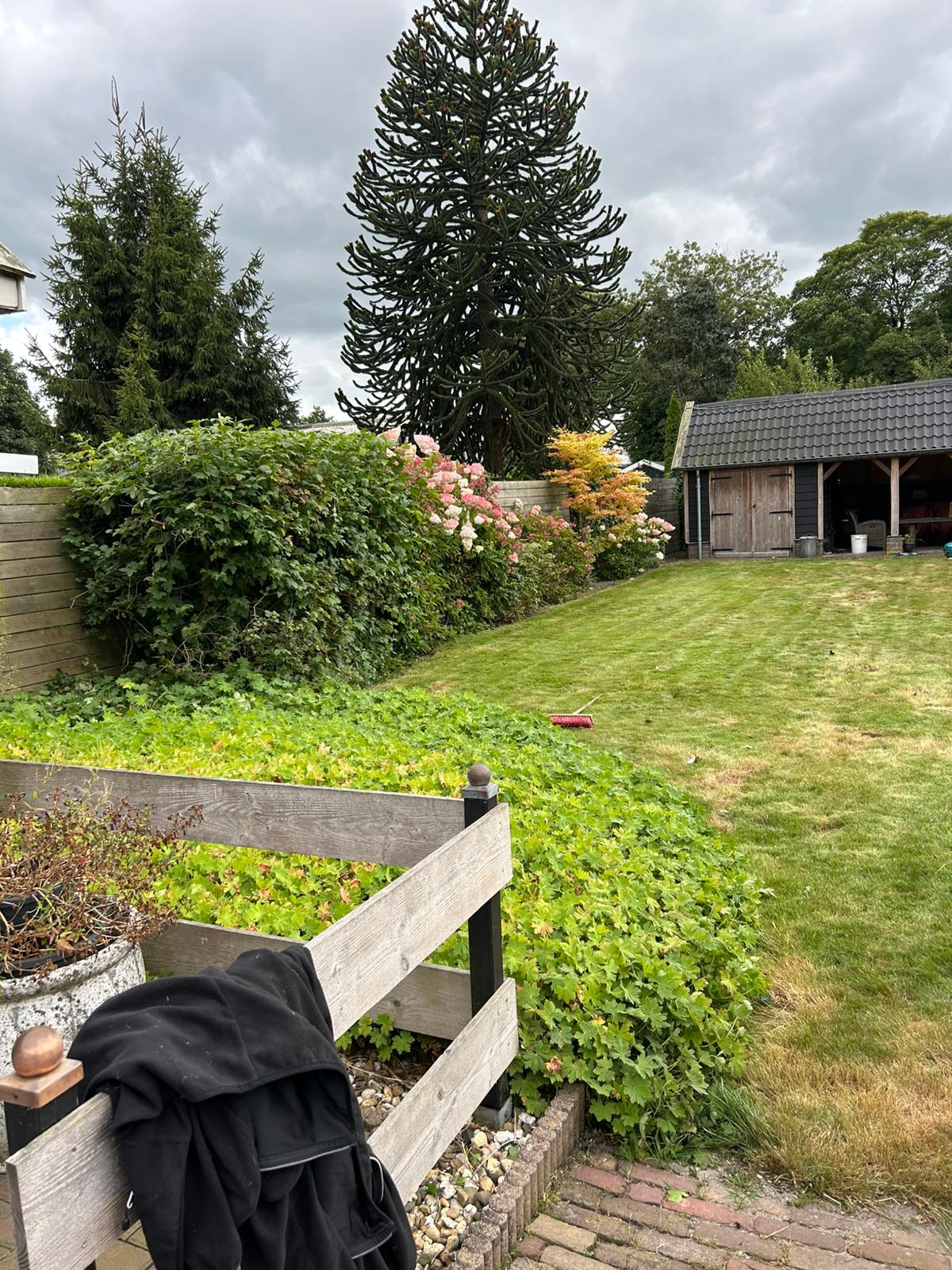 Tuin na het onderhoud
