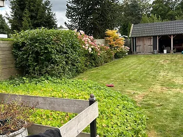 Tuinaanleg & renovatie door Bronneger Exclusive in Drenthe — foto 2