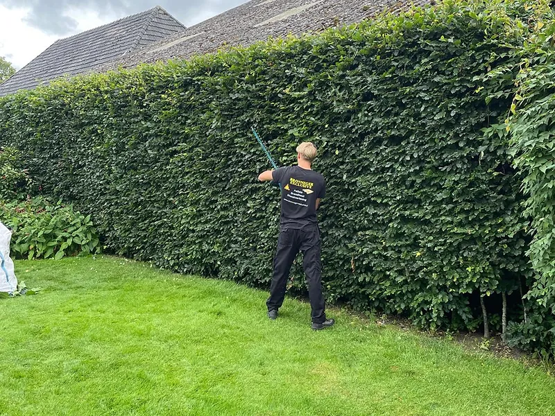 Zomers heggen snoeien — Bronneger Exclusive in Drenthe