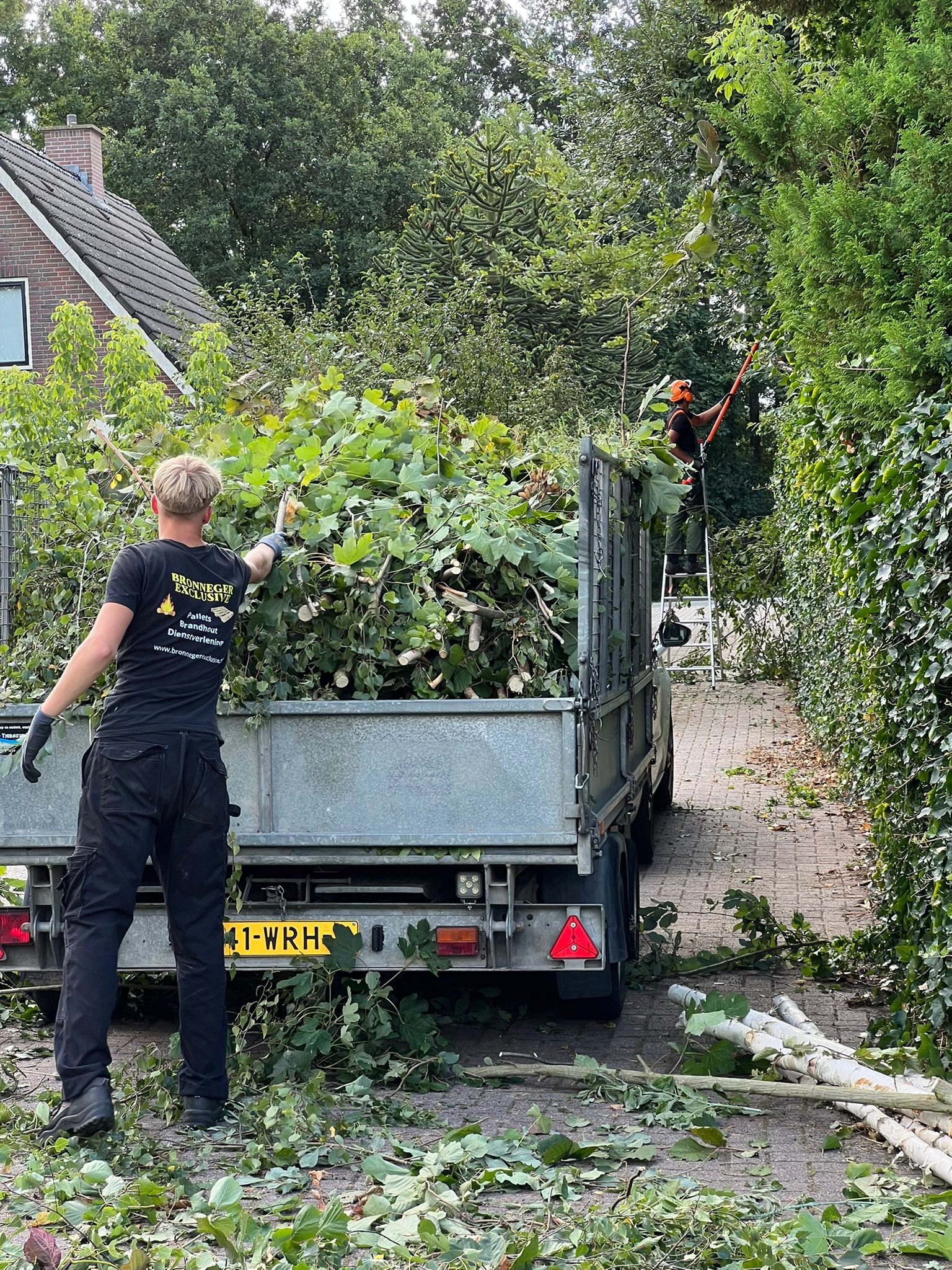 Boomsnoeien vanuit trekker platform