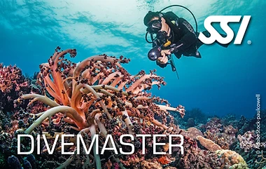 Divemaster Course