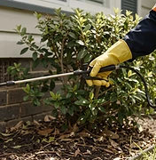 Pest Control