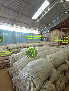 CGIAR — Seed Potato 360° VR Training — view 1