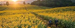 Saraburi
