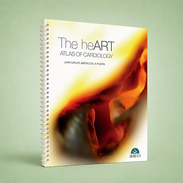 The HeART, Juan Carlos Jiménez de la Puerta, book cover