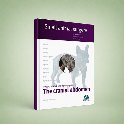 The Cranial Abdomen, José Rodriguez, María José Martínez, Jaime Graus, book cover