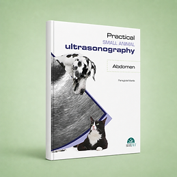 Practical Small Animal Ultrasonography - Abdomen book cover