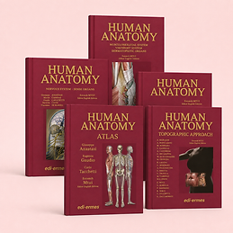 ANATOMY BAG PLUS, VV.AA. Estomih Mtui (Editor English Edition), book cover