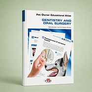 Dentistry and Oral Surgery book cover