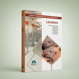 Lactation book cover