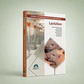 Lactation book cover