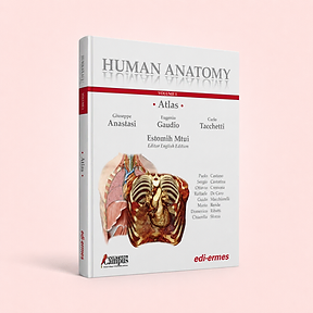 Human Anatomy - Atlas - Volume 1, Giuseppe Anastasi, Eugenio Gaudio, Carlo Tacchetti (eds) - Estomih Mtui (Editor English Edition), book cover