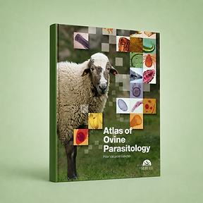 Atlas of Ovine Parasitology, Félix Valcárcel, Francisco A. Rojo, Sonia Olmeda et al., book cover