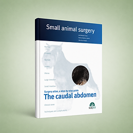 The Caudal Abdomen - eBook, José Rodriguez, Mª José Martínez, Jaime Graus, book cover