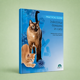 Infectious Diseases in Cats book cover