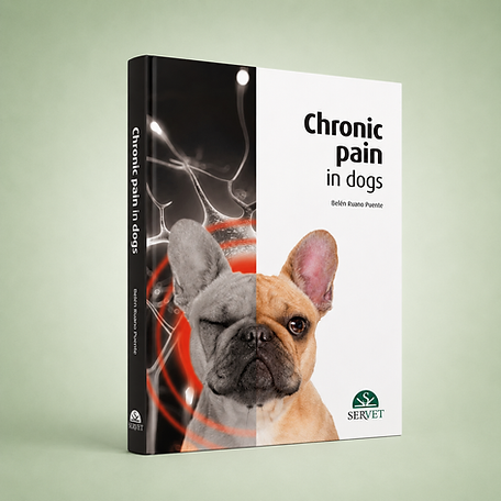 Chronic Pain in Dogs book cover