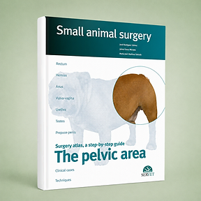 The Pelvic Area, José Rodriguez, Mª José Martínez, Jaime Graus, book cover