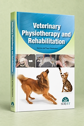 Veterinary Physiotherapy and Rehabilitation, Gemma del Pueyo, book cover