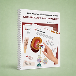 Nephrology and Urology, Shelly Vaden, book cover