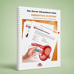 Digestive System, Sarah M. Schmid, M. Katherine Tolbert, book cover