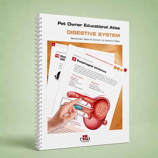 Digestive System, Sarah M. Schmid, M. Katherine Tolbert, book cover