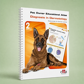 Diagnosis in Dermatology, 2nd ed., Carmen Lorente Méndez, book cover