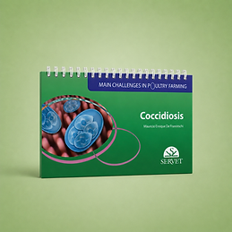 Coccidiosis, Mauricio De Franceschi, book cover