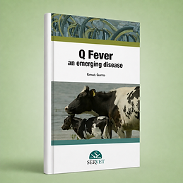 Q Fever, Raphaël Guatteo, book cover