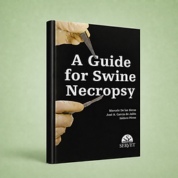 A Guide for Swine Necropsy, Marcelo de las Heras, José A. García de Jalón, Isidoro Pérez, book cover