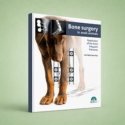 Bone Surgery in Small Animals book cover