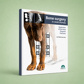 Bone Surgery in Small Animals book cover