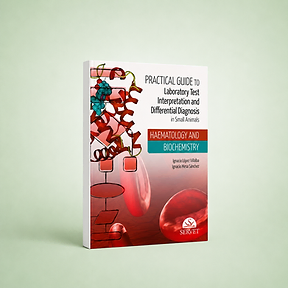 Practical Guide to Laboratory Test Interpretation and Differential Diagnosis, Ignacio López, Ignacio Mesa, book cover