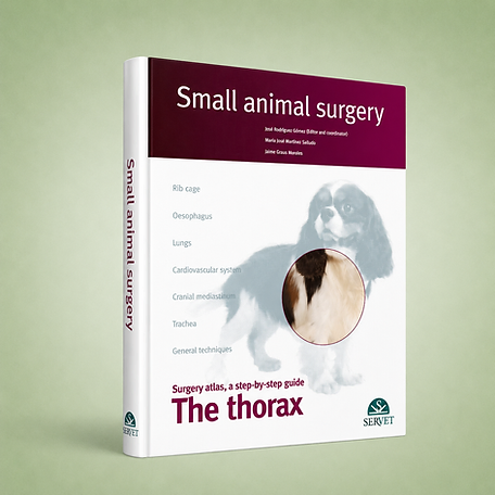 The Thorax, José Rodríguez (Director, coordinating editor), María José Martínez, Jaime Graus, book cover