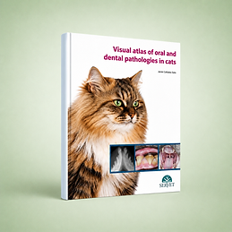 Visual Atlas of Oral and Dental Pathologies in Cats book cover