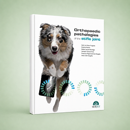 Orthopaedic Pathologies of the Stifle Joint book cover