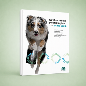Orthopaedic Pathologies of the Stifle Joint book cover