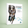 Orthopaedic Pathologies of the Stifle Joint