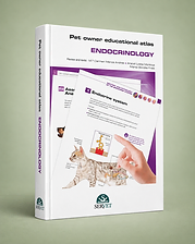 Endocrinology, Carmen Marca, book cover