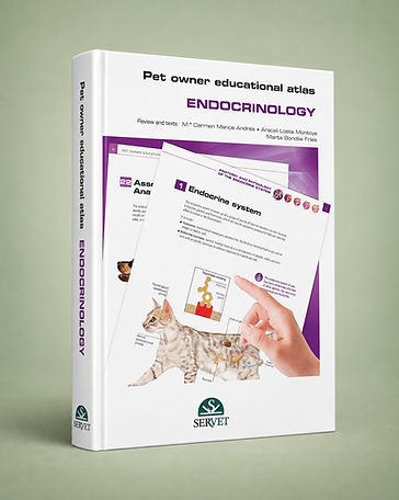 Endocrinology, Carmen Marca, book cover