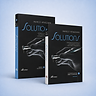 Solutions: Adhesive Restoration Techniques and Integrated Surgical Procedures