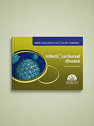 Infectious Bursal Disease, Emmanuel Baraza Sasita, book cover