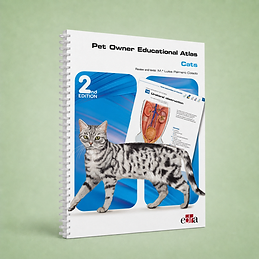 Cats, 2nd edition, Servet editorial, book cover