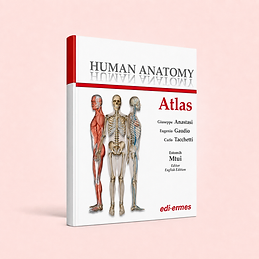 Human Anatomy - Atlas, Giuseppe Anastasi, Eugenio Gaudio, Carlo Tacchetti (eds) - Estomih Mtui (Editor English Edition), book cover